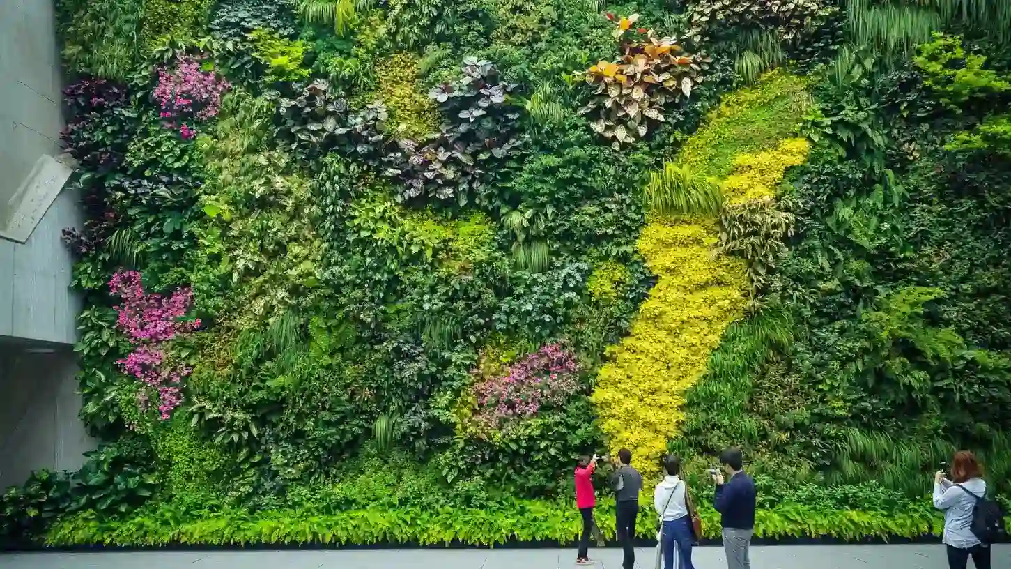 Vertical Garden Installation Bangalore